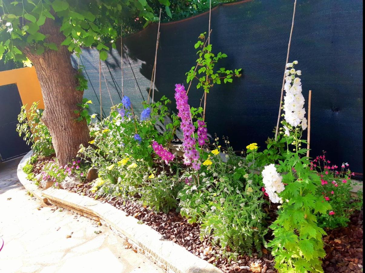 Apartment La Varenne Maur Entre Paris Et Disneyland Saint-Maur-des-Fosses